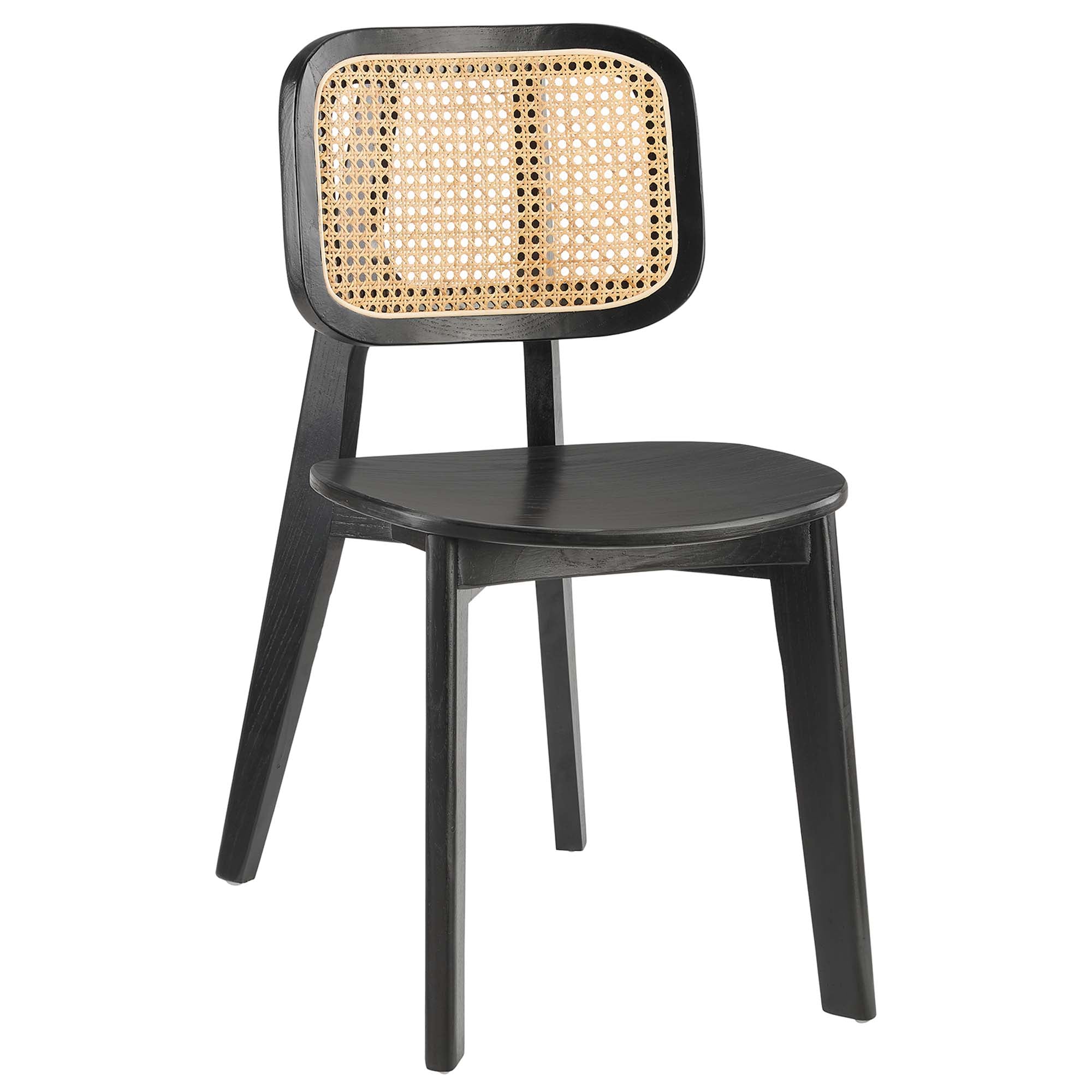 CoastHaven Dining Chair - Black Denmark Home