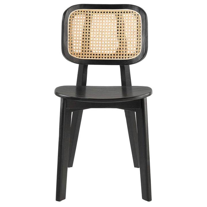 CoastHaven Dining Chair - Black Denmark Home