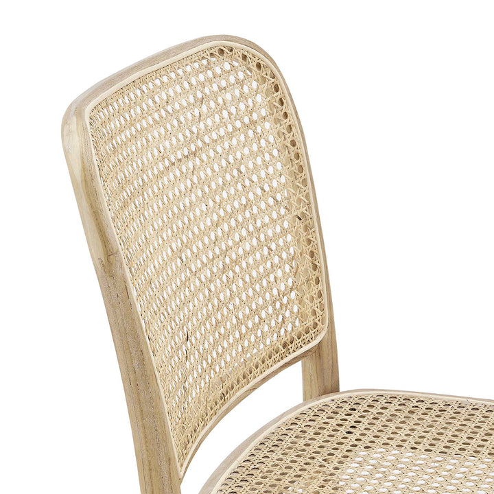 Seabourne Rattan Dining Side Chair - Gray Denmark Home